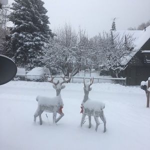 Meet your Posher, Nadia